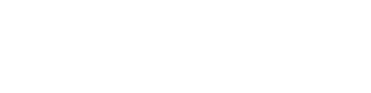 light logo